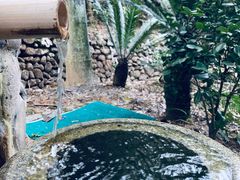 -明月山天沐温泉度假村