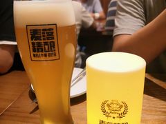 -麦落精酿啤酒餐吧(先农大院店)