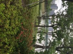 iphone_upload_pic-南翔镇银翔湖公园