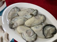 -花苑美食横琴生蚝火锅(拱北粤华路店)