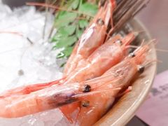 -黑松白鹿(金融街店)
