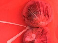 -志龙皇冠吃货椰子铺