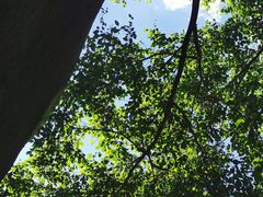 -火炉山森林公园