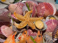 -悦海·家宴·冰花皮皮虾大锅贴(宝龙店)