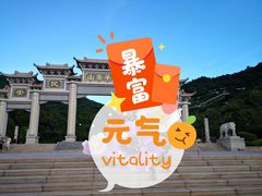 -阳台山森林公园