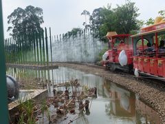 -江门古劳水乡旅游区