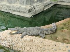 -石家庄市动物园