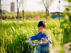 -永定河休闲森林公园