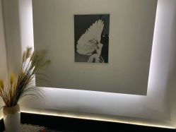 -蚂蚁造型俱乐部