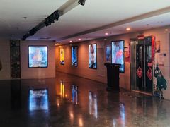 -天幕新彩云国际影城(激光巨幕店)