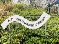 -长谷洞天