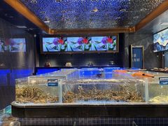 -青蓬蒸汽海鲜·深圳老字号·团建聚会(壹方城店)