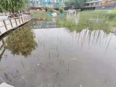 -北京鹿世界主题园