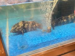 水产区-七鲜超市(瑞虹天地太阳宫店)