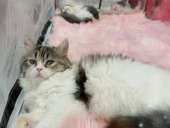 -凯德广场(武胜路店)