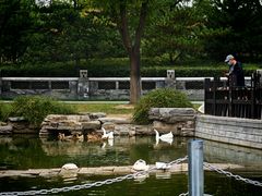 -西海子公园