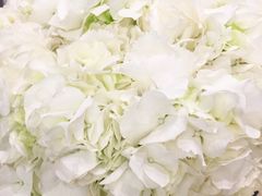 -Tiffany & Co.蒂芙尼
(广州太古汇店)