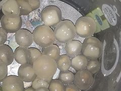 马蹄爆珠椰青水-混果汁(福田领展中心城店)