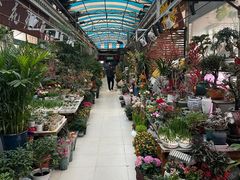 -武汉花鸟市场