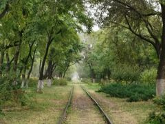 -永定河休闲森林公园