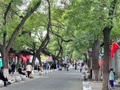 -北京国子监胡同