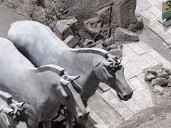 -秦始皇帝陵博物院(兵马俑)