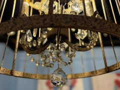 -一只烧鸡公(解放碑店)