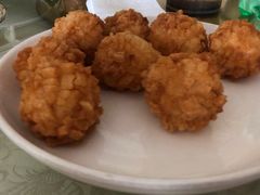 -丁老爷子苏香圆