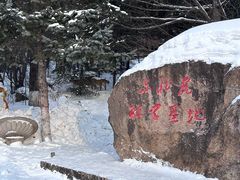 -横道河子东北虎林园