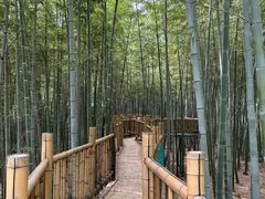 -陶祖圣境风景区