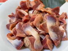 -探窝·竹笙椰子鸡(杨箕店)