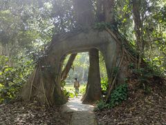 -中国科学院西双版纳热带植物园