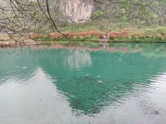 -靖西鹅泉风景区