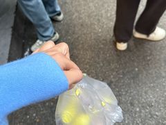 -清真李唯一优质肉丸糊辣汤