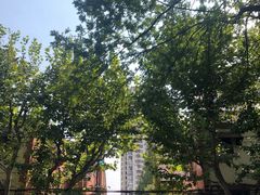 -西区老大房(愚园路店)