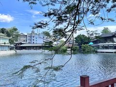-荔湾湖公园