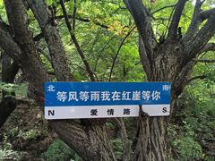 -红崖峡谷景区