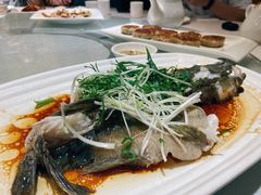 清蒸笋壳鱼-朱仔记食府(江南大道店)