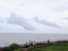 -涉地可支