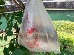 -宁波五龙潭景区