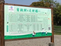 -田园东方蜜桃村的田野营地