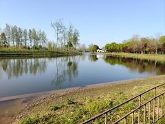 -合肥滨湖国家森林公园