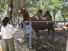 -长白岛森林公园