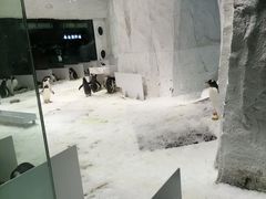 -大连圣亚海洋世界