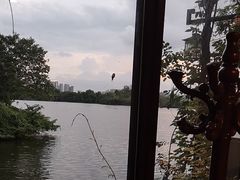 -东湖食堂·湖景餐厅•会议