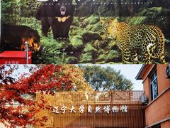 -辽宁大学(崇山校区)