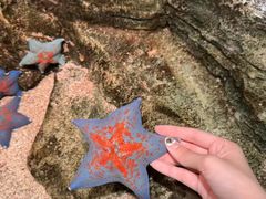 -沈阳海洋探索中心