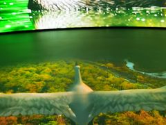 -中国湿地博物馆