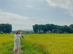 -光明小镇欢乐田园