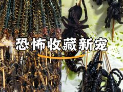 -南越王博物院(王宫展区)